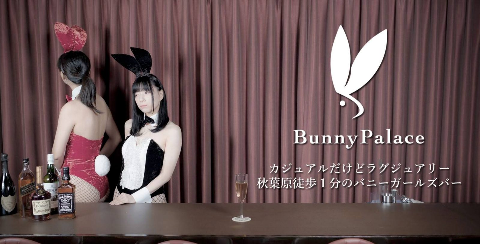 Bunny Palace バニーパレス 店内写真